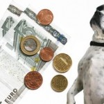 Ab wann Hundesteuer bezahlen?