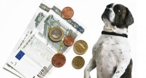 ab wann hundesteuer bezahlen