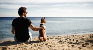 Auslandsschutz Hunde OP Versicherung