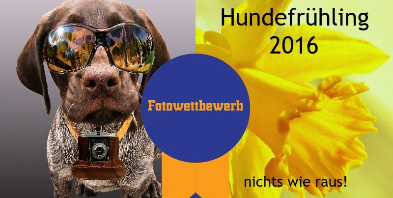 Fotowettbewerb: Hundefrühling 2016 - Nichts wie raus!